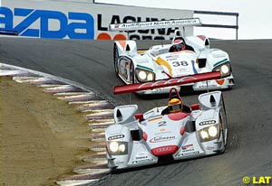 The 1st and 2nd placed Audis