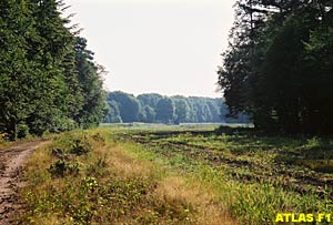 The 'old' Hockenheim today