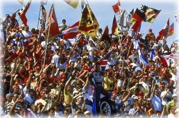 The fans