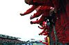 Click on thumbnail to enlarge