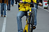 Click on thumbnail to enlarge