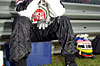 Click on thumbnail to enlarge