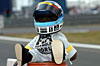 Click on thumbnail to enlarge