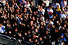 Click on thumbnail to enlarge