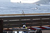 Click on thumbnail to enlarge