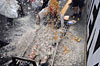 Click on thumbnail to enlarge