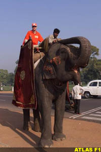 Irvine on an Elephant in India